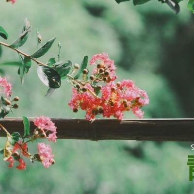 一分三快app下载手机版截图