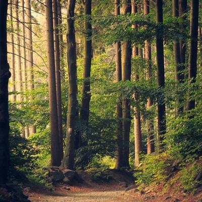 一分三快app下载手机版截图